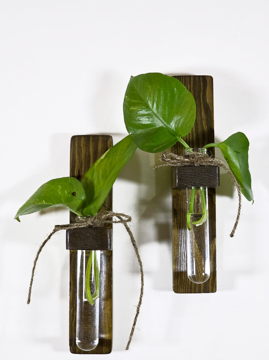 Isfahan - Pine Wood Wall Hanging Planter (Set of 2)