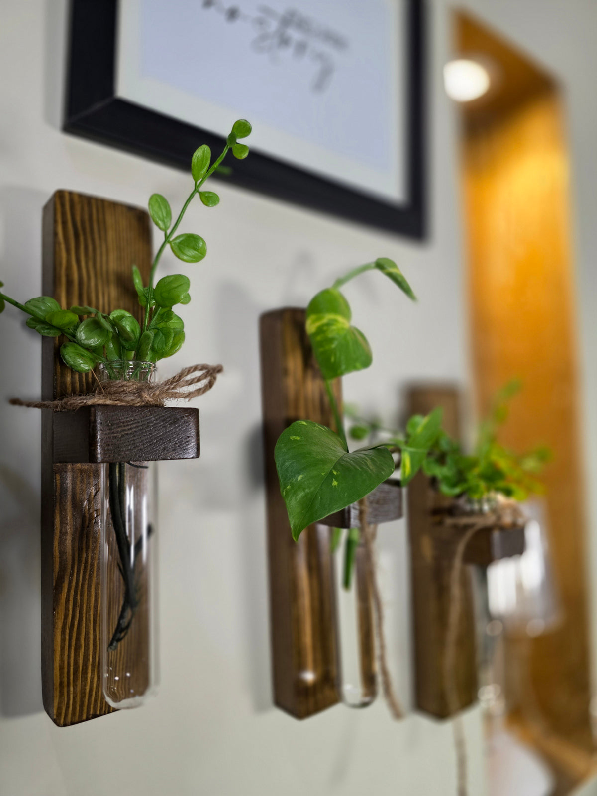 Isfahan - Pine Wood Wall Hanging Planter (Set of 2)