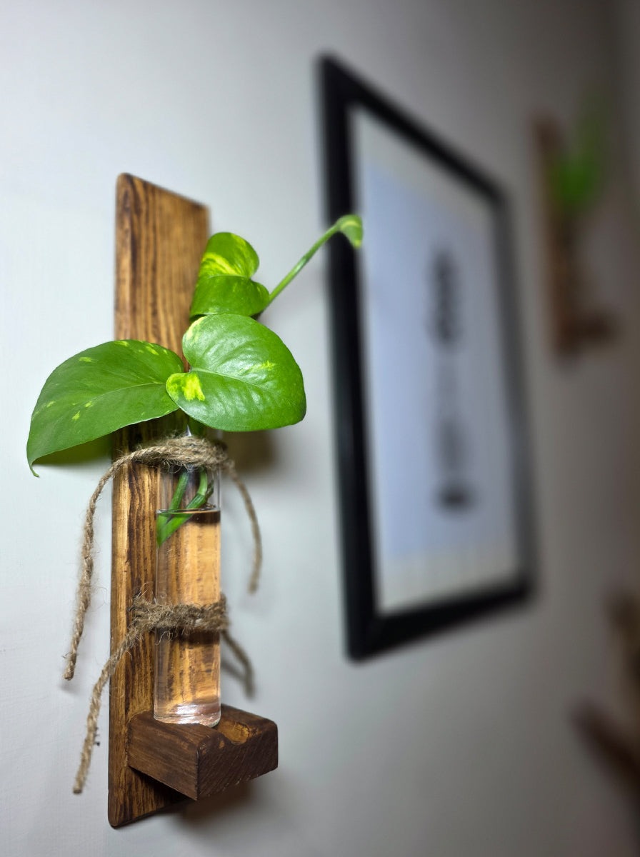 Whisper Pine - Wooden Wall Hanging Planter (Set of 2)